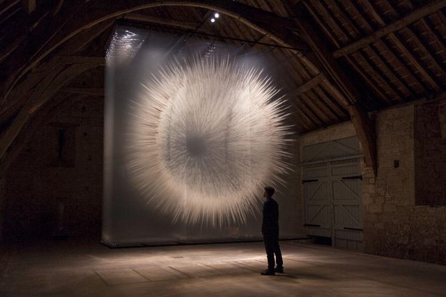 David Spriggs