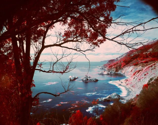 Florian Maier-Aichen