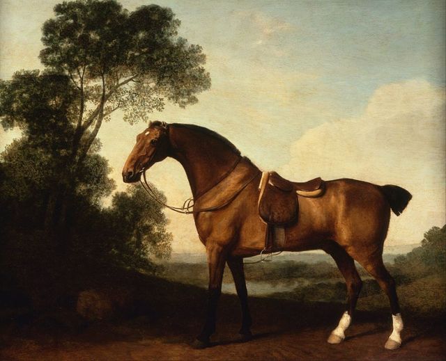 George Stubbs