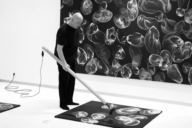 Jiří Georg Dokoupil