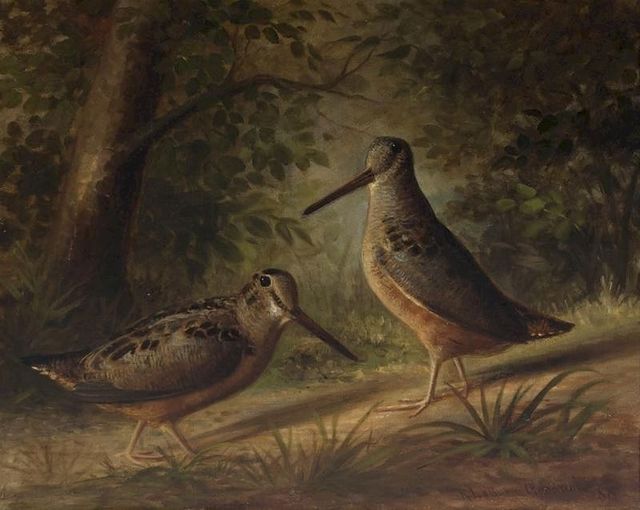 Richard Labarre Goodwin