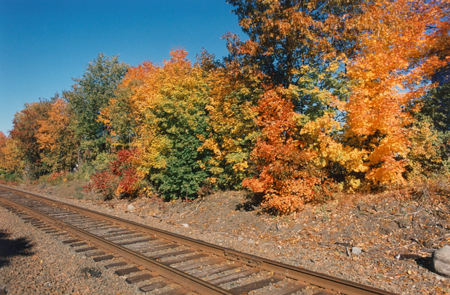 Post-War and Contemporary Art Online