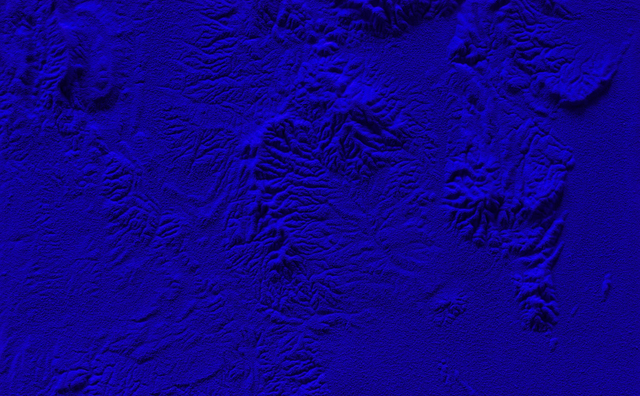 Collection Helga et Edzard Reuter