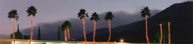 Contemporary Discoveries