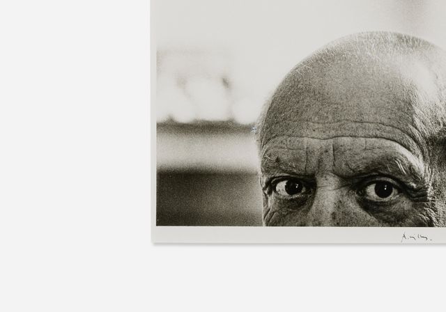 Curated: PICASSO