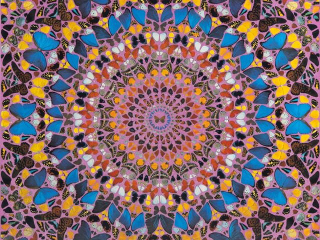 Collect: Prints & Photographs
