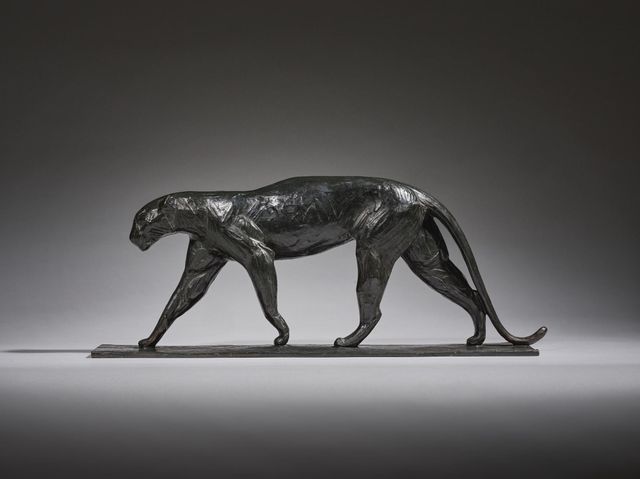 Petit léopard marchant