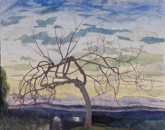 Vijgenboom in de winter, Grasse