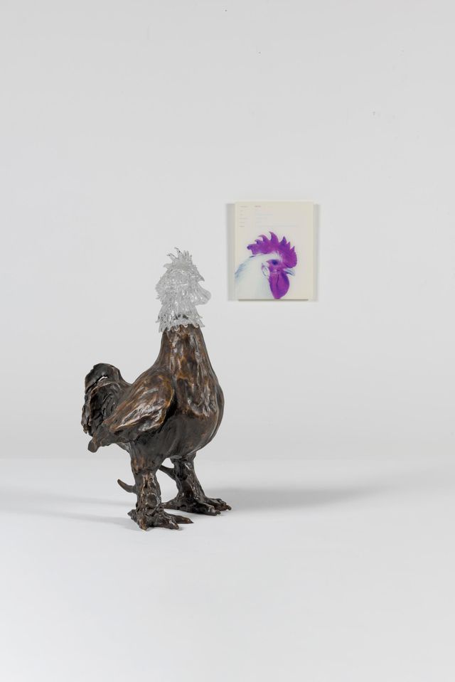 Heaven and Earth - Poulet de Bresse