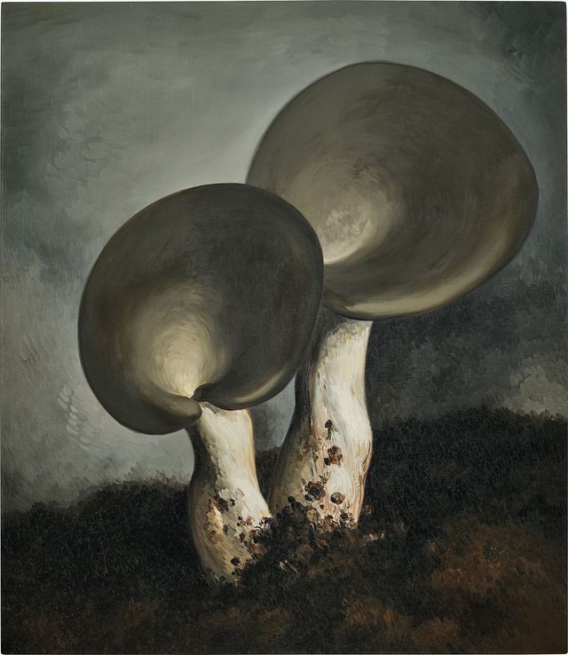 Mushroom No. 30