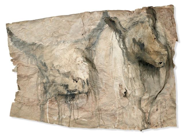 Deux têtes de vache