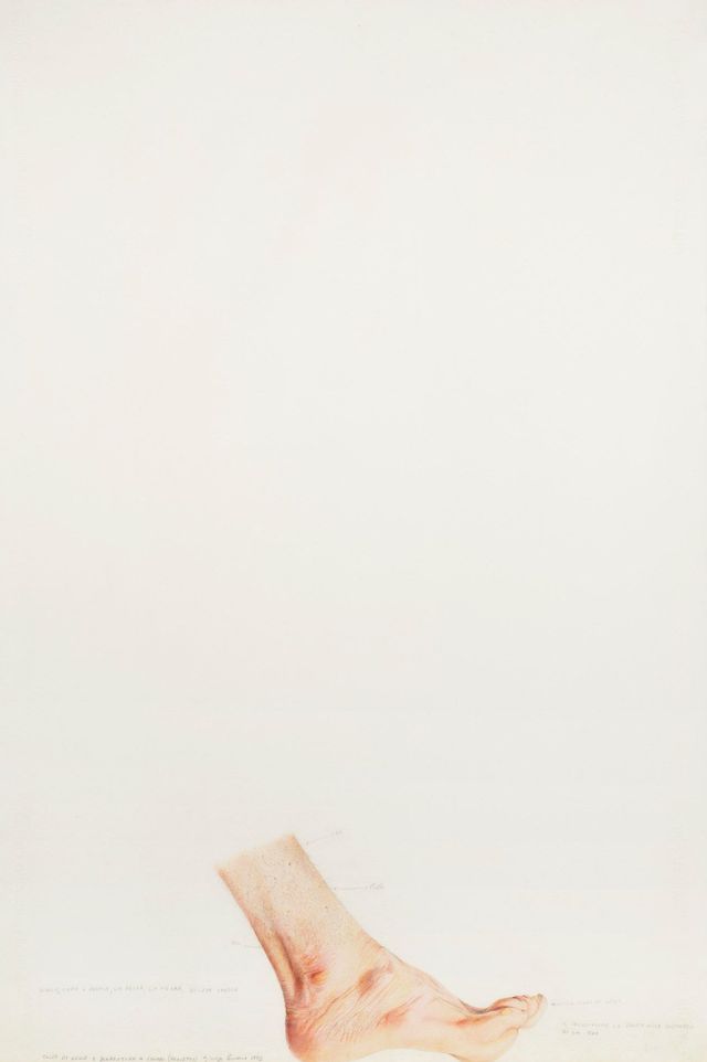 Progetto per calco di gesso e diapositiva a colori