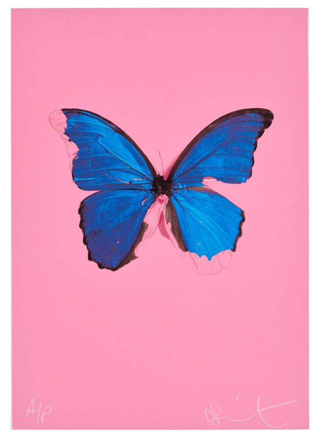 Blue Butterfly, from In The Darkest Hour There May Be Light