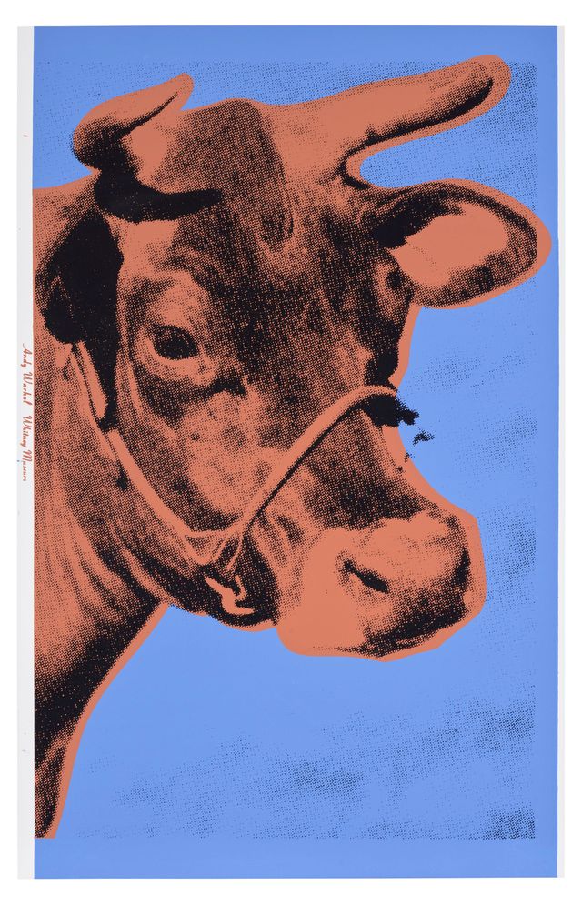 Cow (F. & S. 11A)