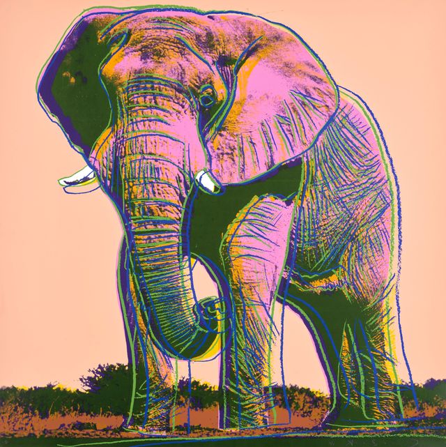 African Elephant, from Endangered Species (F. & S. 293)