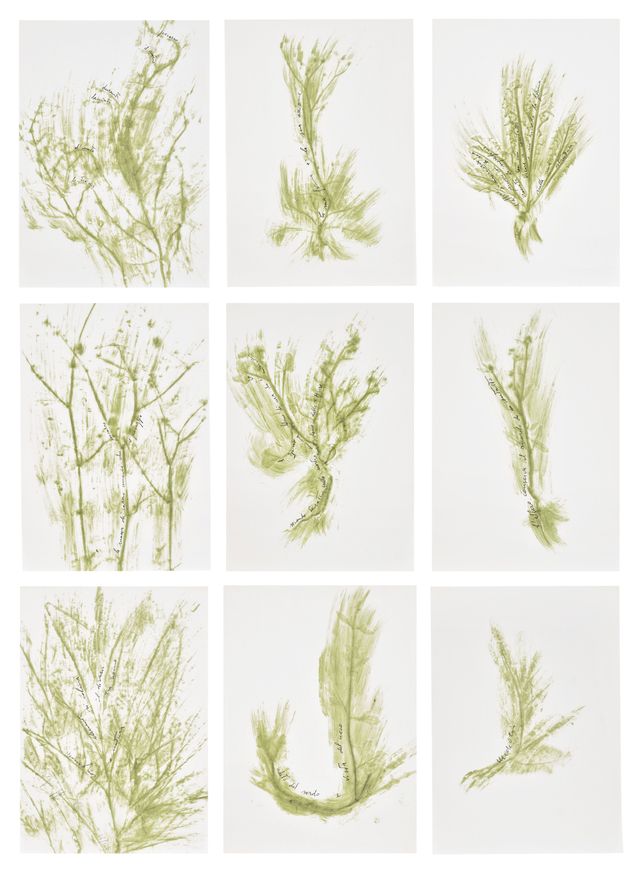 Trentatré Erbe (Thirty-three Herbs)