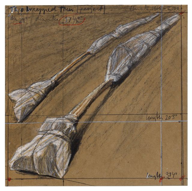 Two Wrapped Trees (Project)