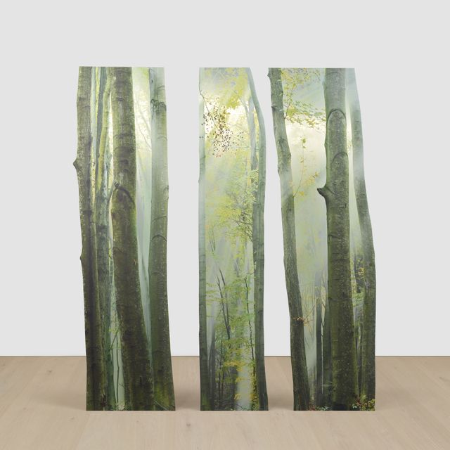 Branching (Green Forest)