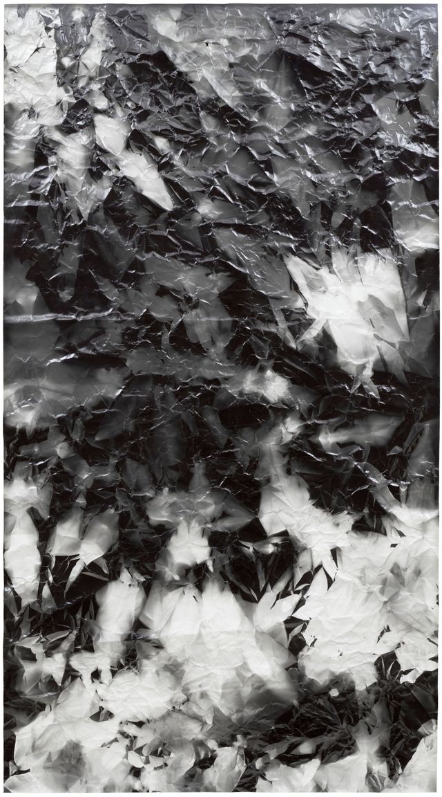 Picture Made by My Hand with the Assistance of Light