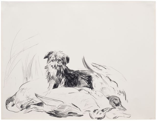 Skippy and his friends