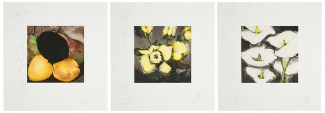 Fruits and Flowers II: three prints