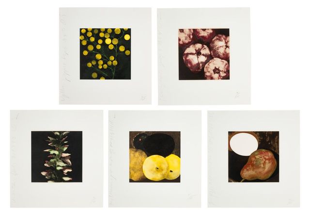 Fruits & Flowers III