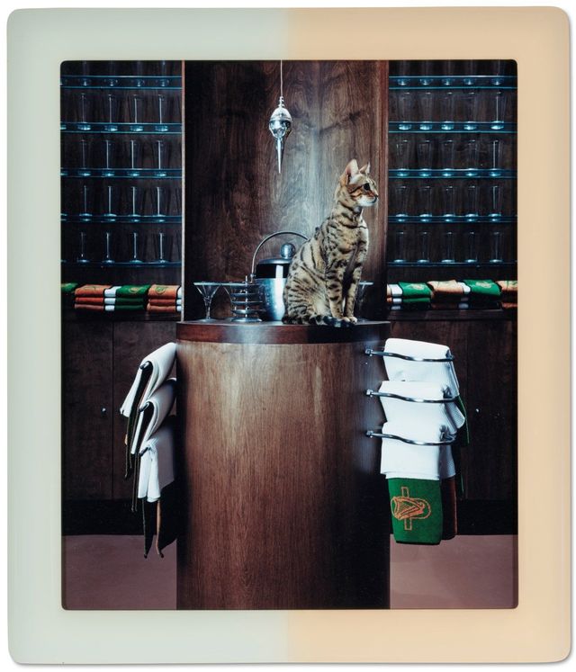 CREMASTER 3: Plumb Line