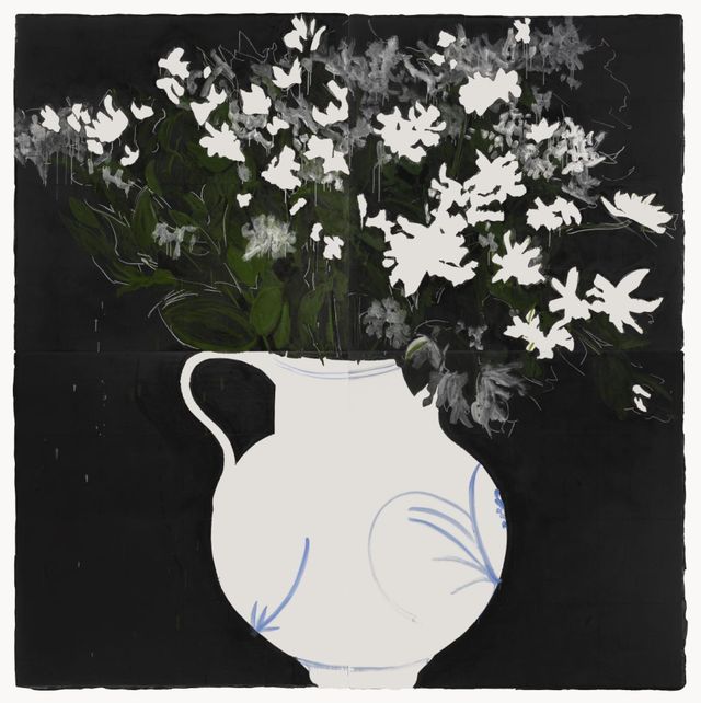 Euphorbia, Nov 21, 1986