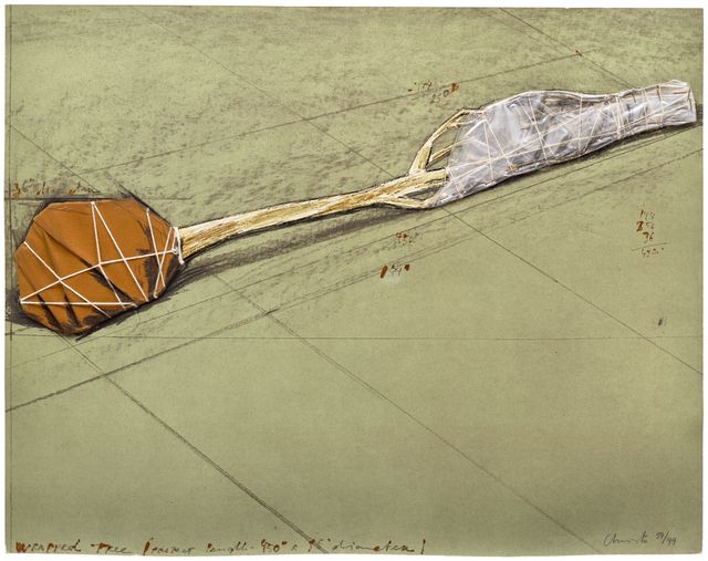 Wrapped Tree, Project (S. 101)