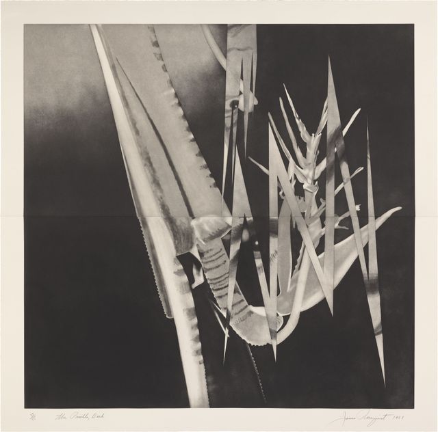 The Prickly Dark (G. 212)