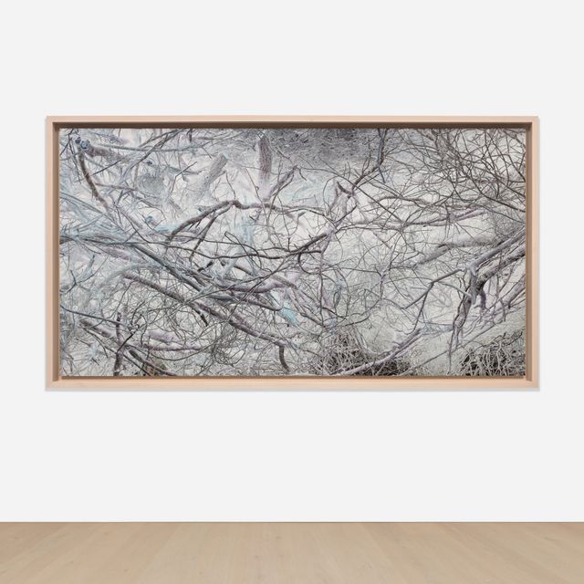 Untitled (364030#FC)