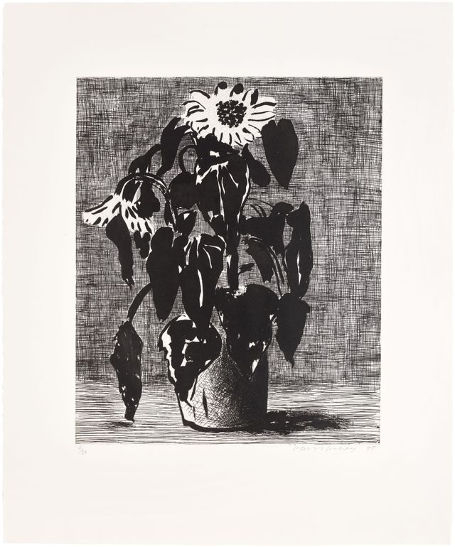 Sunflower II (M.C.A.T. 348)