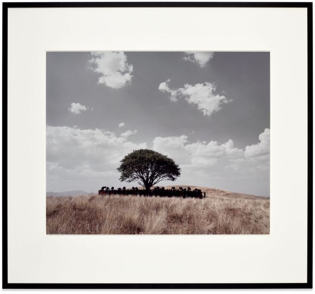 Untitled (Tooba) (S. p. 417)