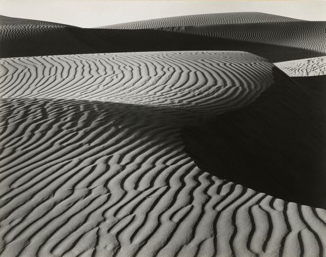 Wind Erosion, Dunes at Oceano, 1936