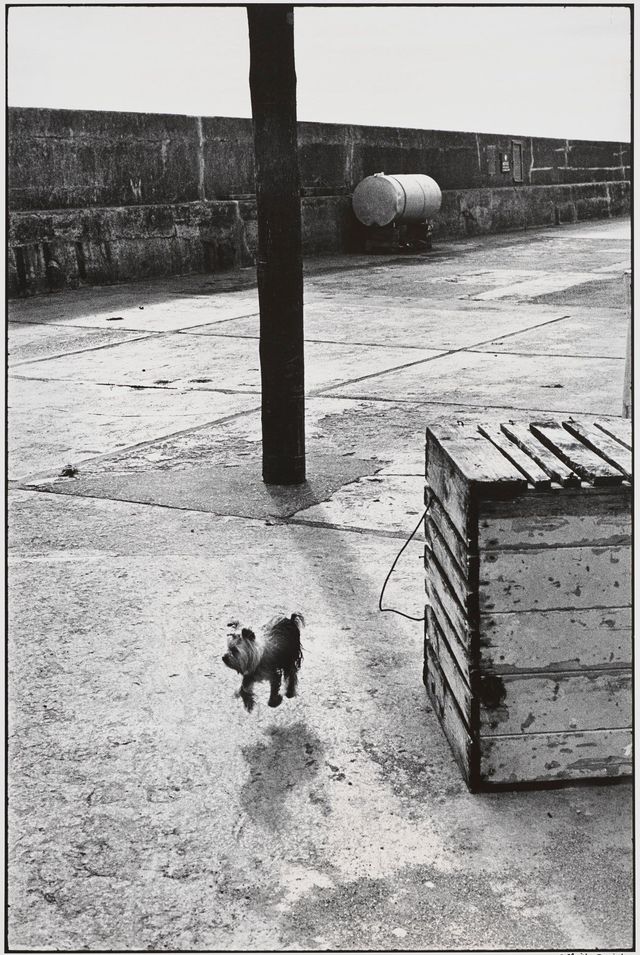 Ballycotton, Ireland, 1968