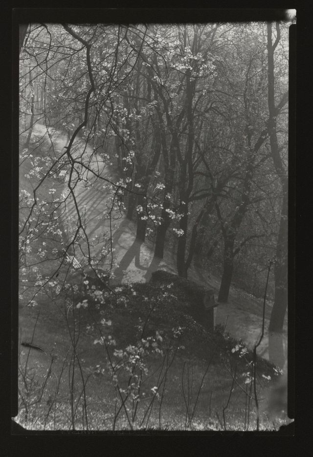 Untitled (Walkway through Park), c. 1940s-1950s