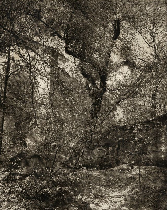 A Walk through Kinský Garden, Prague, c. 1952