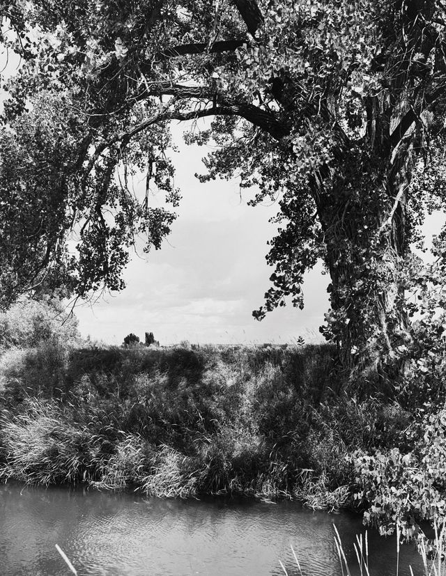 An Irrigation Canal, Larimer County, Colorado, 1990
