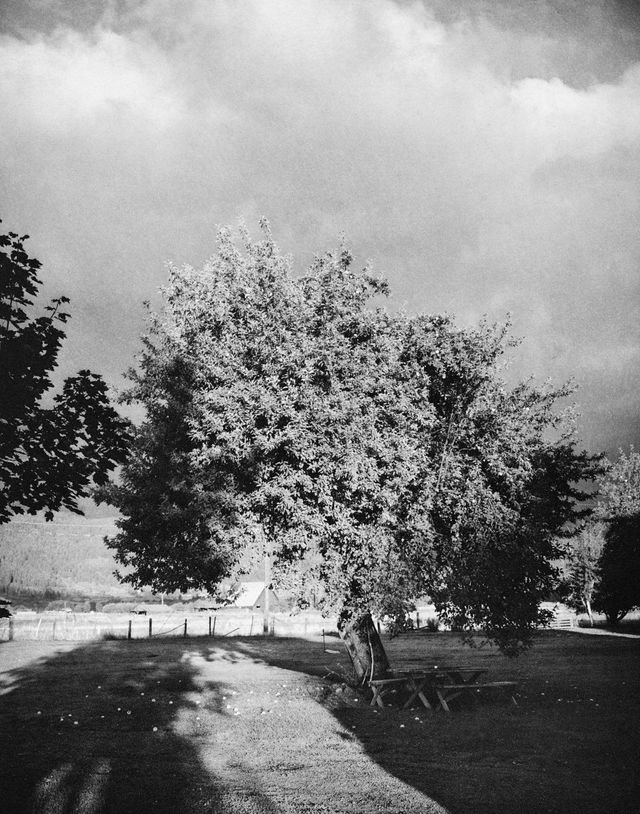 Baker County, Oregon, c. 2001