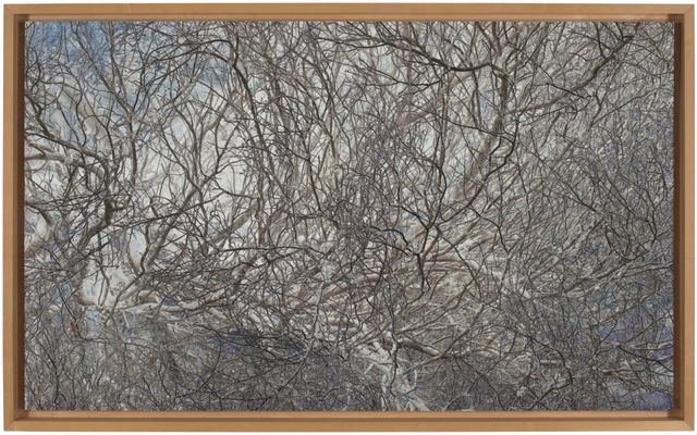 Untitled (#3132), 2009