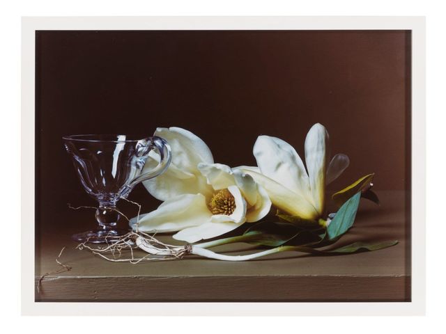 Magnolia with Wild Leeks, 2008