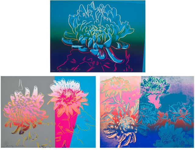 Kiku (F. & S. 307-309)