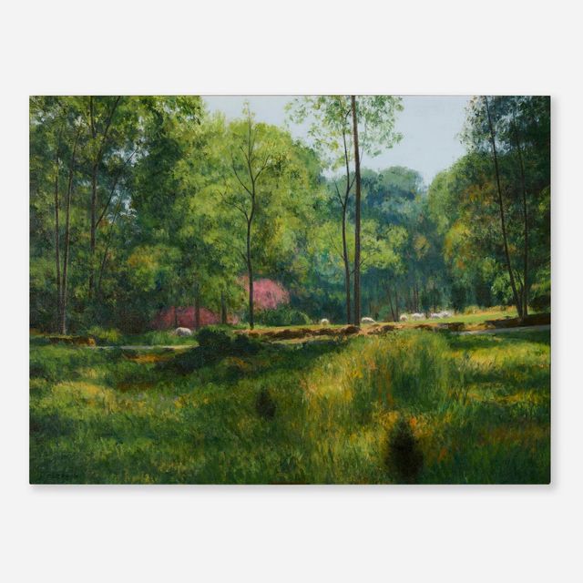 Across From the Meadow