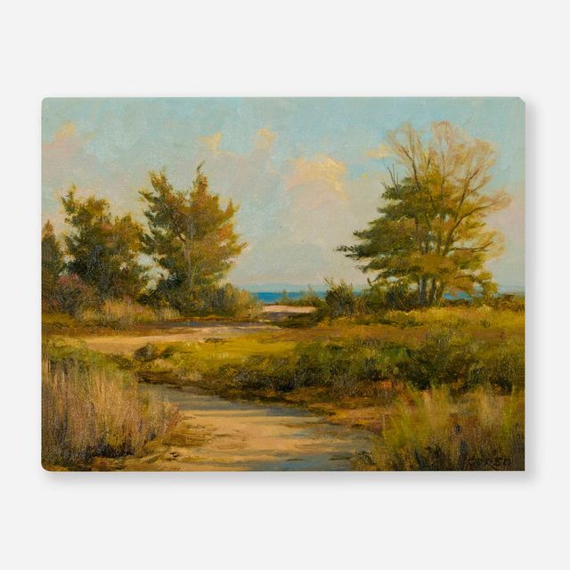 Pathway to the Water