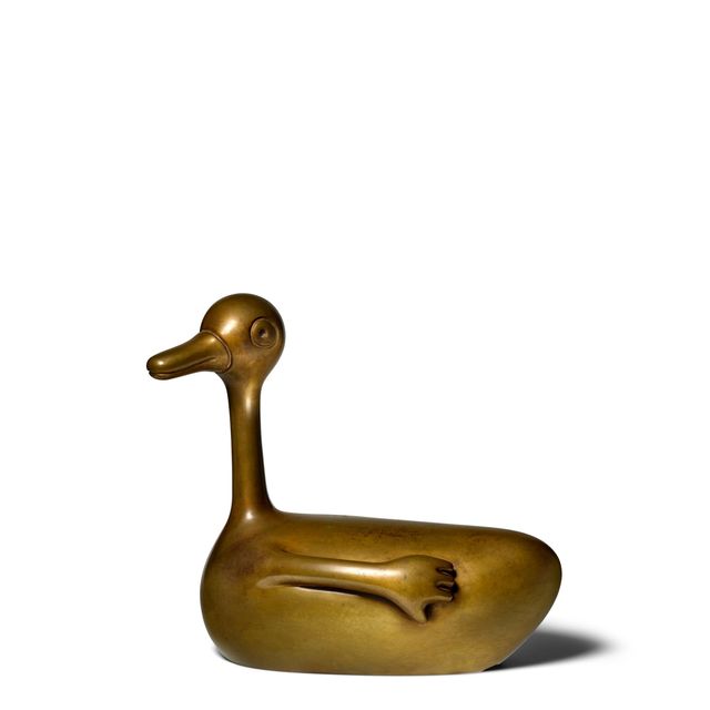 Duck