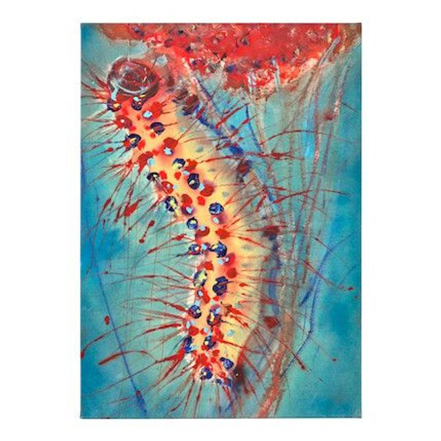 The most beautiful caterpillar in the south corner of this garden