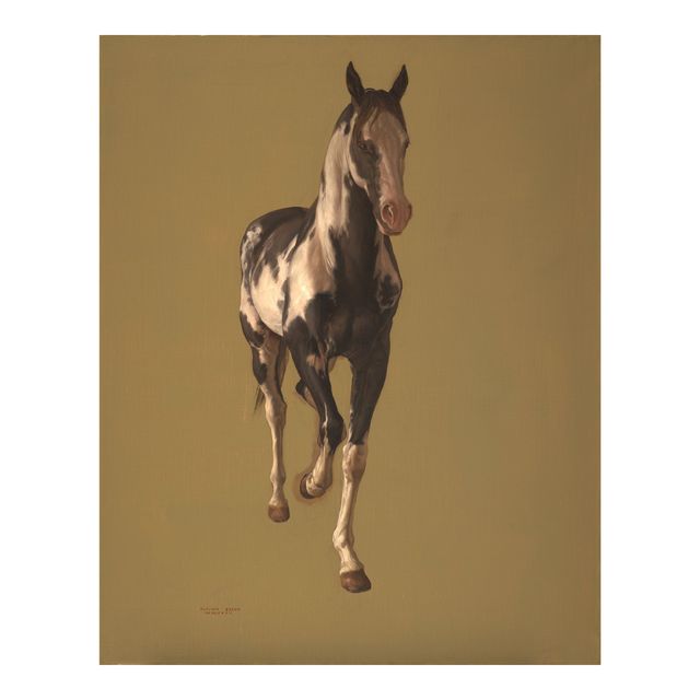 Untitled (Caballo)
