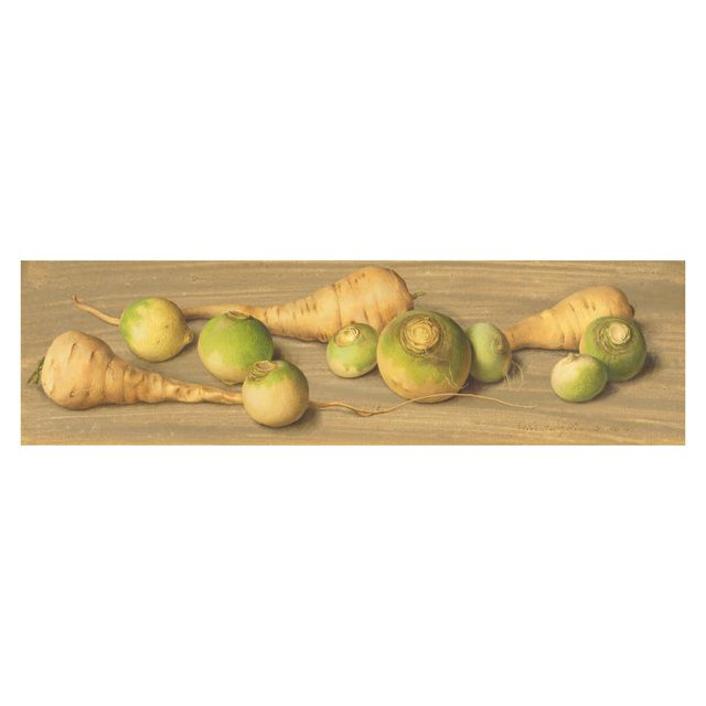 Parsnips and turnips 14.5 x 48 cm. (5 3/4 x 18 7/8 in.)