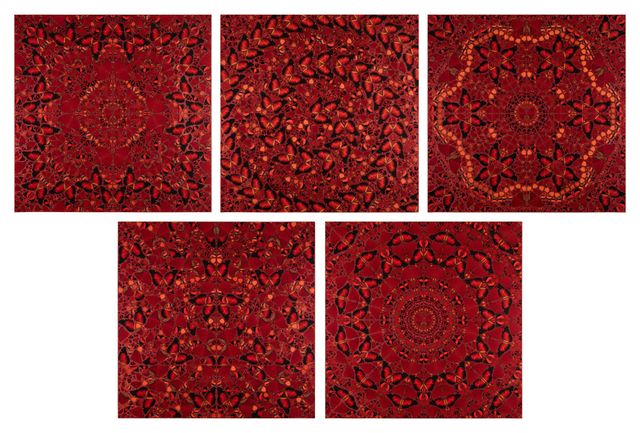 The Empresses (H10 1-5)