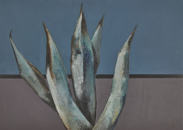Untitled (Agave)